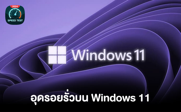 อุดรอยรั่วบน Windows 11